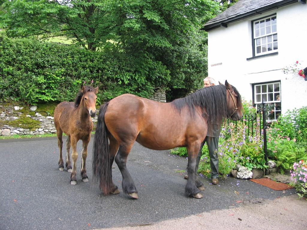 High Fold Guest House Troutbeck  ภายนอก รูปภาพ