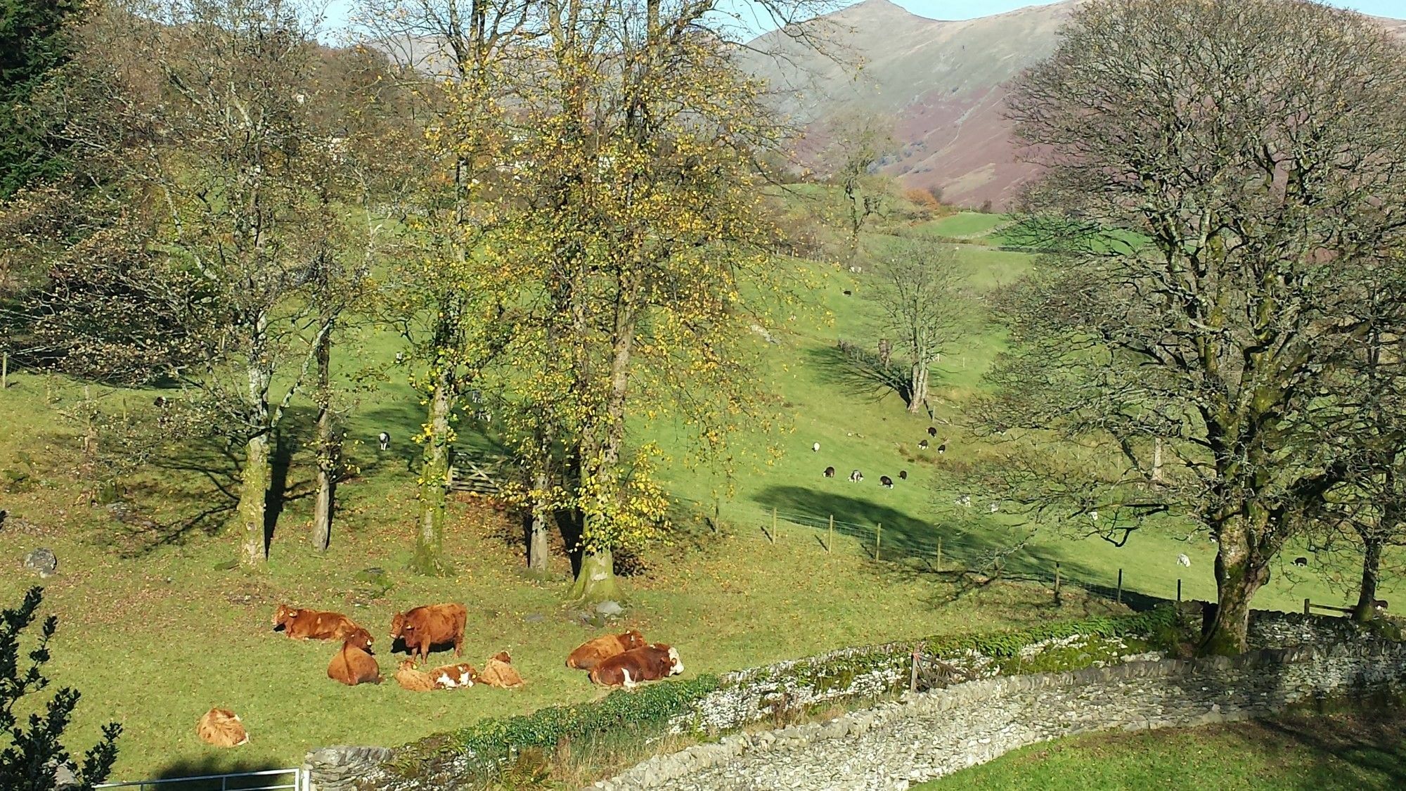 High Fold Guest House Troutbeck  ภายนอก รูปภาพ