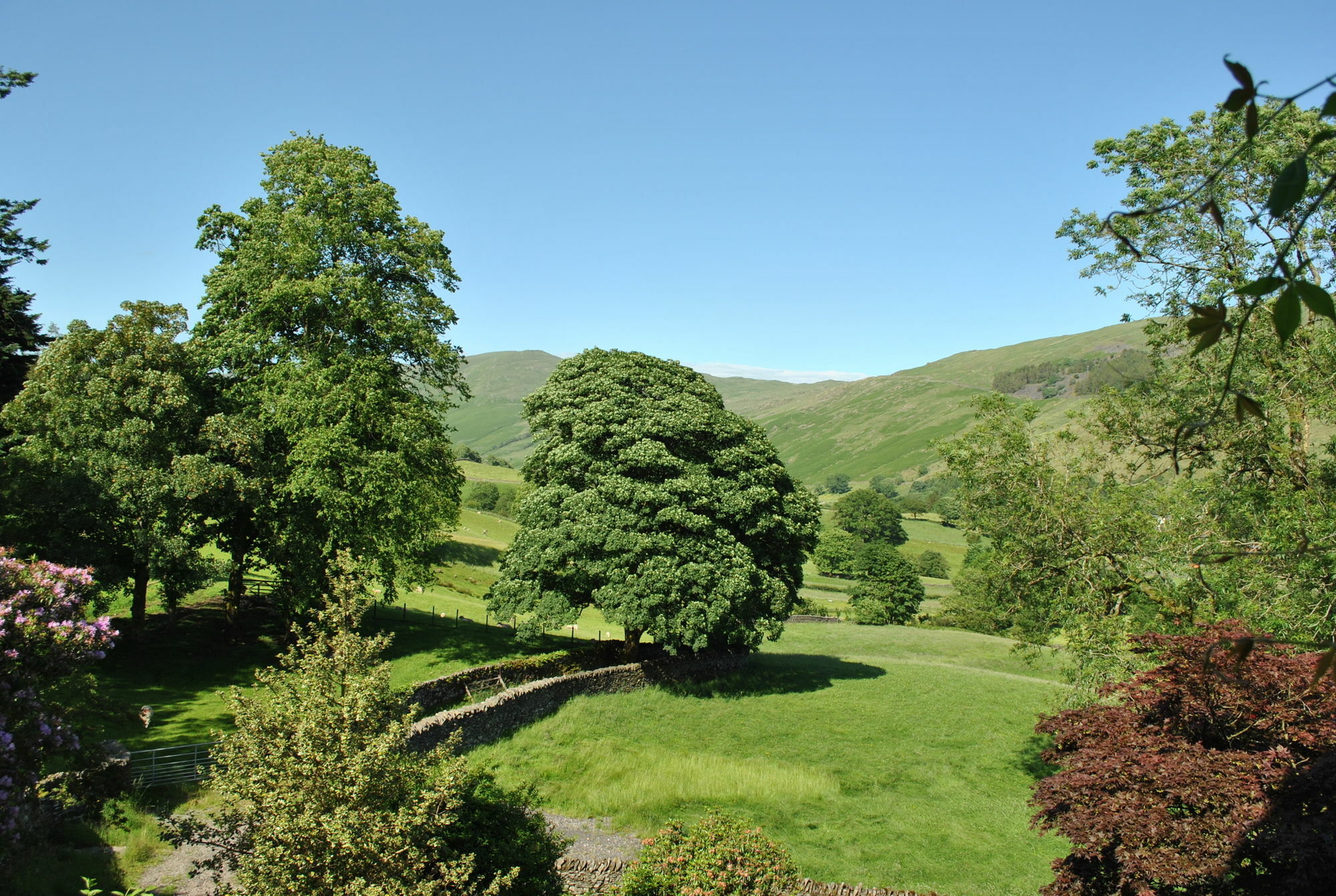 High Fold Guest House Troutbeck  ภายนอก รูปภาพ